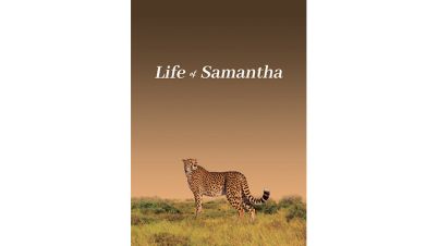 Life-of-Samantha-HEADER.jpg