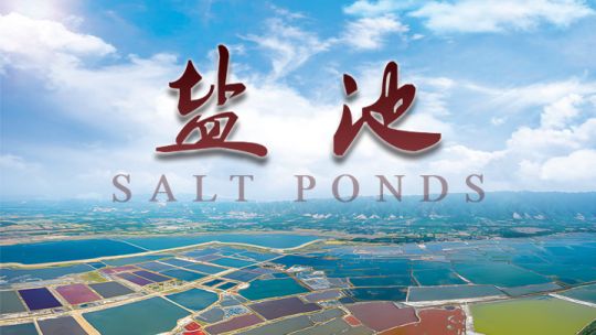 Salt-Ponds.jpg