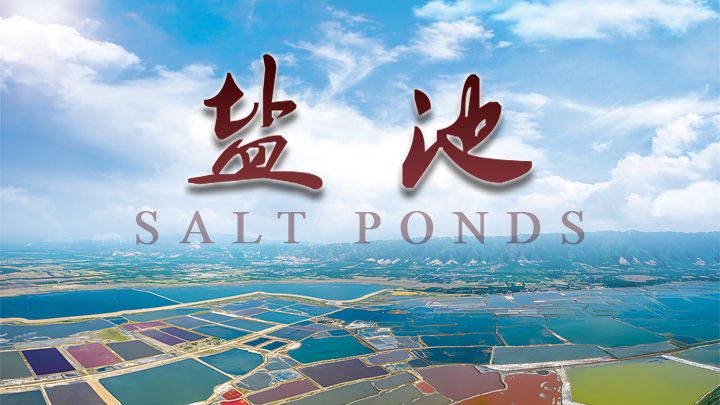 Salt-Ponds.jpg