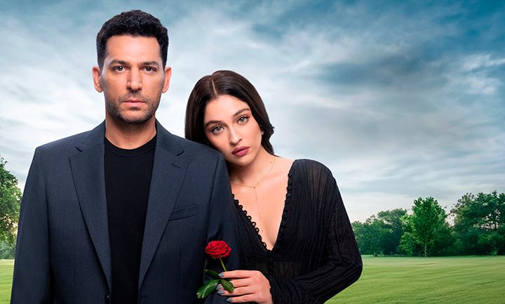 Sins-and-Roses.jpg
