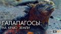 Галапагосы1.jpg