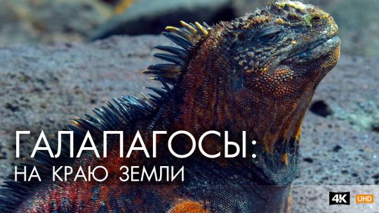 Галапагосы1.jpg