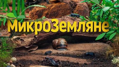 Микроземляне.jpg