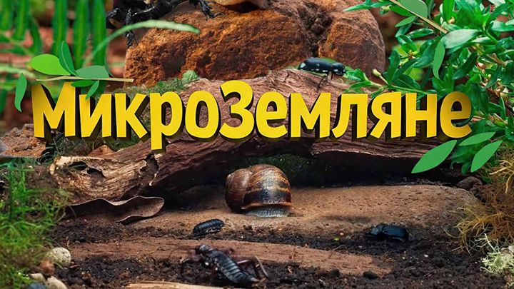 Микроземляне.jpg